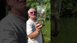 Man catches wild snakes with plastic bottles snake outdoors adventure nature naturelovers [upl. by Clary]