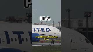 Funniest atc conversations pilot atc Shorts [upl. by Cis]