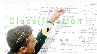 Enzyme classification [upl. by Wini]