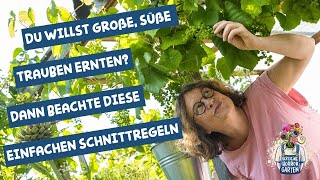 Sommerschnitt an Weinreben  für große süße Trauben und gesunde Blätter I der kleine Horrorgarten [upl. by Kelby]