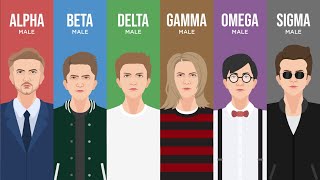 6 Types of Men Explained [upl. by Anaderol]