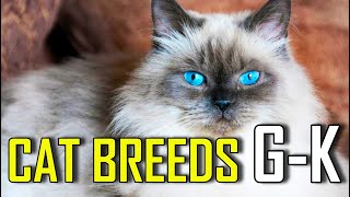 CAT BREEDS  List of cat breeds that start with GK [upl. by Ydeh]