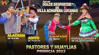 Pastores y Huaylias Primicia 2023 Alacrán de Sucre amp Adito de Puquio Dulce Jhosy Picarflor de Paico🎶 [upl. by Arreit]