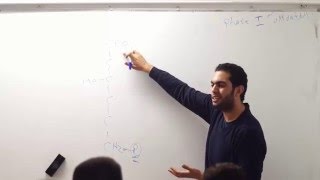 Pentose Phosphate Pathway [upl. by Nossah]