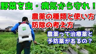 野菜を虫や病気から守りたい！農薬の種類・使い方紹介 [upl. by Kester]