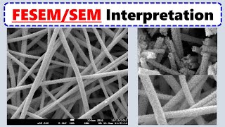 How to Interpret SEM Images [upl. by Dowling]