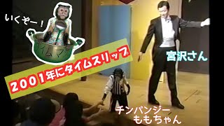 宮沢園長【チンパンジートレーナーの歴史】2001年にタイムスリップ「ももちゃんのイリュージョン」不適切にもほどがある！かも🤣 [upl. by Vladamar]