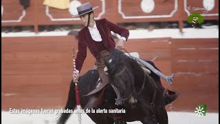 Los caballos toreros de Lea Vicens y la Yeguada Eucalipto en Montoro [upl. by Lanfri903]