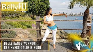 Beginners Belly Dance Cardio Workout  Shimmy Adventures [upl. by Sac]