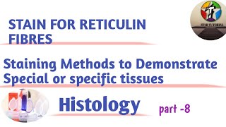 Stain for Reticulin fibres ll staining Methods to demonstrate special tissues ll Histology [upl. by Lleirbag]