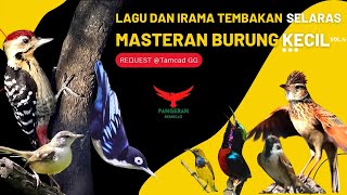 LAGU amp IRAMA TEMBAKAN SELARAS❗️Masteran Burung Kecil vol4 [upl. by Lamont]