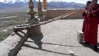 Young monks playing Tibetan horns at Thikse gompa monastery [upl. by Aicilegna410]