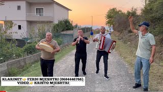 TRADITA TE BUKURA SHQIPTARE ORKESTRA VJEN ME SAZE TEK SHTEPIA E DHENDRRIT KLARINET FERDI MJESHTRI [upl. by Ayhdiv733]