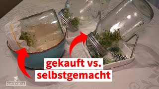 DIY Sprossenglas vs gekauft  Funktioniert ein DIY Sprossenglas genauso gut wie eine gekauftes [upl. by Aniar]