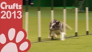 Agility  Crufts Singles  Final Round  Small Medium and Large  Crufts 2013 [upl. by Aynas]