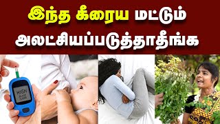 Health Benefits இத்தனை நாள் இது தெரியாம போச்சே  Cooking Delicious and Nutritious Moringa Recipes [upl. by Fielding]