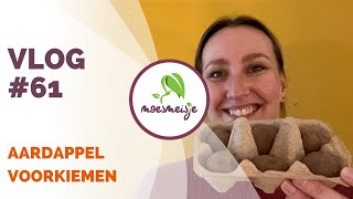 MOESTUIN VLOG 61  Aardappel voorkiemen kapucijner zaaien en hoe gaat het in de moestuinbak [upl. by Netta]