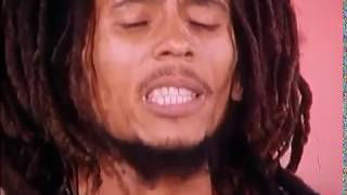 Bob Marley  Positive Vibration Live at TopPop TV Netherlands 1976 [upl. by Tillo]