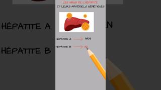 Les virus de lhépatite et leurs types de matériels génétiques [upl. by Ahsiekahs]