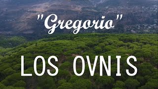 Los Ovnis  Gregorio LETRALYRICS [upl. by Hisbe192]