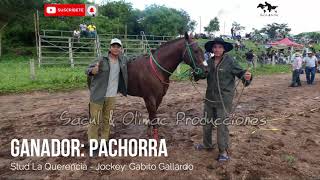 Pachorra vs Galán [upl. by Kelsey79]