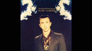 The Days of Pearly Spencer by Marc Almond an Instrumental Cover [upl. by Emmer496]