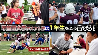 【アメフト】関東強豪校早稲田大学は一年生をこう育てる！ [upl. by Orlan993]