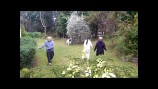 Medical Qigong for Chronic Disease  With Dr Bisong Guo  Spring Retreat [upl. by Melloney123]