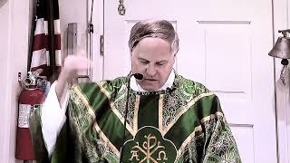 Fr Radecki CMRI the Novus Ordo Persecutes Traditional Catholics [upl. by Shaughn74]