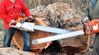 Stihl MS 881 amp Husqvarna 3120xp [upl. by Robet642]