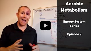 Aerobic metabolism explained [upl. by Stanly747]