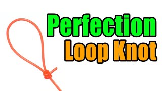 Perfection Loop Knot  Strong Easy Leader To Line Loop Knot  Best Fishing Knots [upl. by Anitnauq]