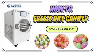 How to Freeze Dry Candy [upl. by Bob]