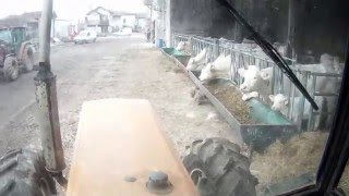 paillage de vaches avec renault 7514 ls hd cab view [upl. by Kehoe941]