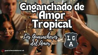 Recordando Exitos de Amor Tropical 2  Los Guaracheros del Amor  Guaracha Santiagueña  2024 [upl. by Quickel630]