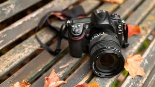 Best DSLR Camera in 2024 Top Picks for Every Budget amp Skill Level [upl. by Bernie783]