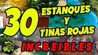 30 HÁBITAT DE TORTUGAS DE AGUA DE SUSCRIPTORES QUE TE ENCANTARÁN PARTE 2  HÁBITAT PARA TORTUGAS 🐢 [upl. by Haimerej]