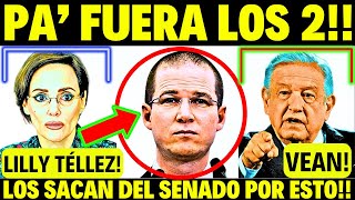 ⚠️ÚLTIMA HORA🚨DIPUTADOS VOTARÁN PARA SACAR A RICARDO ANAYA Y LILLY TÉLLEZ DEL SENADO👉PA FUERA YA [upl. by Dorian938]