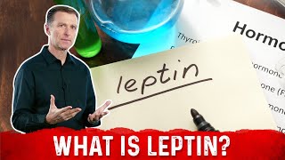 What is Leptin Explained By DrBerg [upl. by Pall]