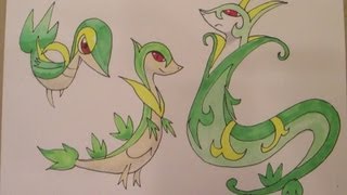 How to draw Pokemon No495 Snivy No496 Servine No497 Serperior [upl. by Henning]