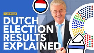 The Netherlands Election Explained How the Right Won [upl. by Ortensia]