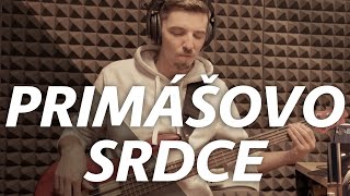 Primášovo srdce Karol Duchoň tribute by Peter Bič Project  cover [upl. by Nile]