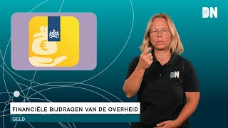 Financiële bijdragen van de overheid [upl. by Eugenie]