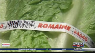 Romaine Lettuce recall [upl. by Adohr746]