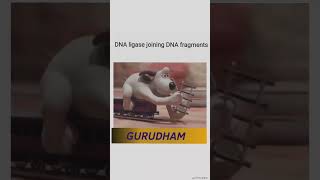 DNA Ligase shortsfeed gurudham comedy entertainment memes shorts [upl. by Millman]