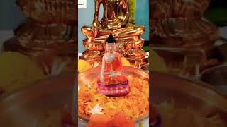 pimpalachya panavar pahile chitra gautamche song subscribe [upl. by Sophie575]