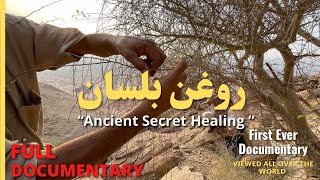 Roghan e Balsan Benefits  Documentary quotA Secret Healing quot روغن بلسان کے فوائد [upl. by Tobias]