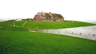 Land unter auf Hallig Gröde am 19 September 2023 [upl. by Wes]