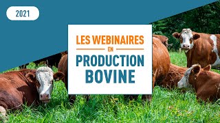 Comment servir les aliments alternatifs en situation de pénurie de fourrages [upl. by Roxanne664]