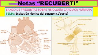 BANCO DE PREGUNTAS DE quotFISIOLOGÍA CARDIACA HUMANAquot  TEMA Excitación rítmica del corazón 1°parte [upl. by Enaira]